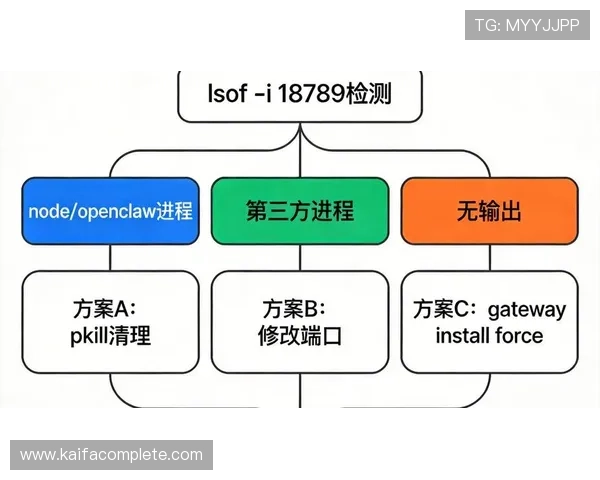 解决K8网站登录会员遇到的常见问题与错误排查指南